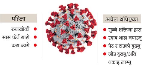 नेपालमा कोरोना भाइरस संक्रमण देखिएकामध्ये ९९ प्रतिशत लक्षणविहीन