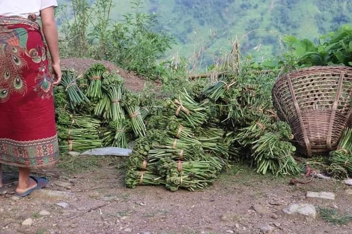 लेटाङ वारंगीका किसानको मुख्य आयस्रोत बन्दै डौठे निगुरो