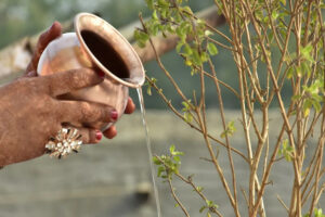 कुन बार हाल्नु हुन्न तुलसीमा जल ?