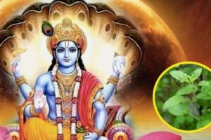 वरूथिनी एकादशी व्रतको महिमा