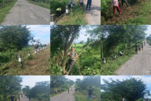 झापाको हल्दिबारी–३ मा सडक सरसफाइ अभियान, जनसहभागिता उत्साहजनक