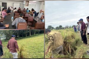 अबिरल वर्षापछि हल्दीबारीको बाली सुरक्षा रणनीति: बाली बीमा र धानकाे बलिया जाततर्फ ध्यान दिने