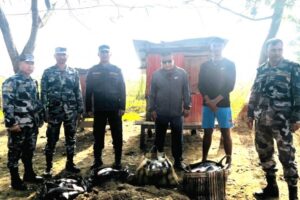तस्करी नियन्त्रण अभियानः झापामा २०० केजी माछा समातियो