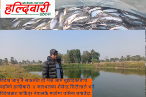 हल्दीबारीका शैलेन्द्र माछापालनबाट आत्मनिर्भर बन्दै