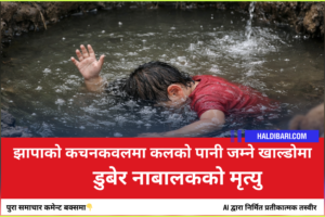झापाको कचनकवलमा कलको पानी जम्ने खाल्डोमा डुबेर  नाबालकको मृत्यु