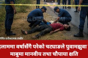 इलाममा वर्षासँगै परेको चट्याङले पुवामझुवा र माबुमा मानवीय तथा चौपाया क्षति