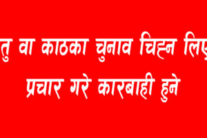 धातु वा काठका चुनाव चिह्न लिएर प्रचार गरे कारबाही हुने