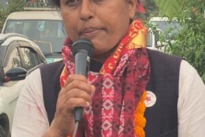 बिर्तामोड बसपार्कको समस्या नेकपाले मात्र समाधान गर्छः चापागाईं