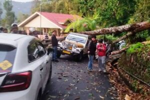 आँधीबेहरी र असिनापानीले सिक्किममा क्षति : रुख ढल्दा एक महिलाको मृत्यु, चार घाइते