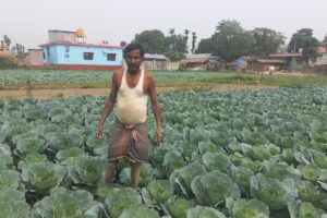 बाह्रदशीको राधानगर गाउँ तरकारीखेतीले चिनिँदै