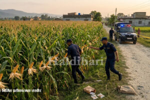 झापा गाउँपालिकामा ब्राउन सुगर बरामद, मकैबारीतर्फ भागे कारोबारी
