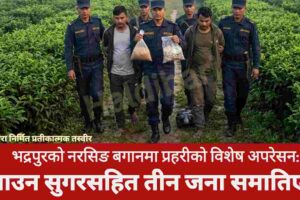 भद्रपुरको नरसिङ बगानमा प्रहरीको विशेष अपरेसन: ब्राउन सुगरसहित तीन जना समातिए