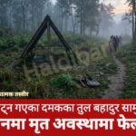 घाँस काट्न गएका दमकका तुल बहादुर सामुदायिक वनमा मृत अवस्थामा फेला