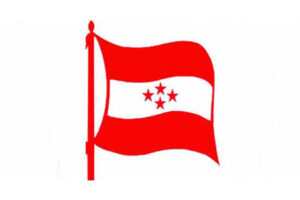 कार्की आयोग प्रतिवेदन अध्ययनमा कांग्रेस, ७ दिनमै सुझाव दिने