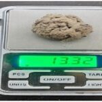 झापामा ब्राउनसुगरसहित एक जना पक्राउ