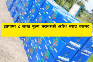 झापामा ८ लाख मूल्य बराबरको अवैध स्याउ बरामद