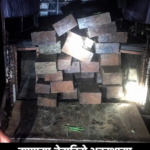 झापामा बेवारिसे अवस्थामा अवैध सखुवाको काठ बरामद