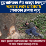 बुद्धशान्तिका मैत बहादुर लिम्बुको रुखबाट लडेर घाइते भएपछि उपचारका क्रममा मृत्यु