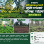 हल्दीबारीमा झाडी सफाइ र वृक्षरोपणले ब्युँतिँदै जलथलको पाथिभरा कालिका सामुदायिक वन हल्दीबारीमा