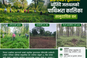 हल्दीबारीमा झाडी सफाइ र वृक्षरोपणले ब्युँतिँदै जलथलको पाथिभरा कालिका सामुदायिक वन हल्दीबारीमा