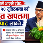 आगामी आवको बजेट: मासिक ५० युनिटभन्दा बढी विद्युत खपतमा भ्याट लाग्ने