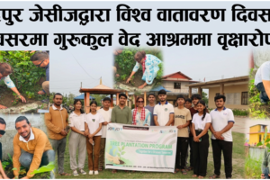 भद्रपुर जेसीजद्वारा विश्व वातावरण दिवसको अवसरमा गुरुकुल वेद आश्रम परिसरमा वृक्षारोपण